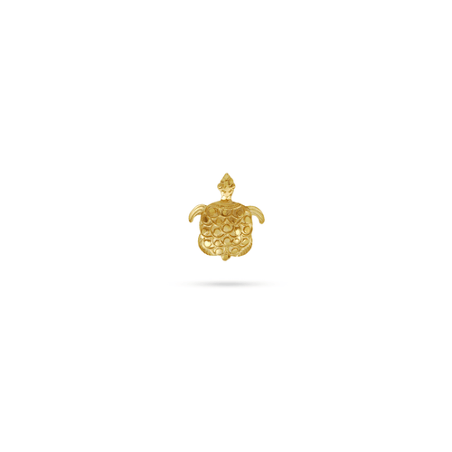 Broche Tartaruga Gold - Loretta
